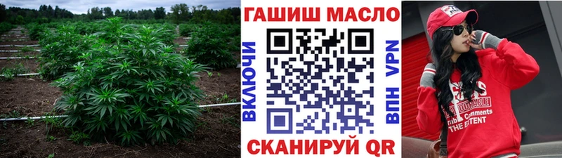 где продают   Кировск  mega tor  Дистиллят ТГК вейп с тгк 
