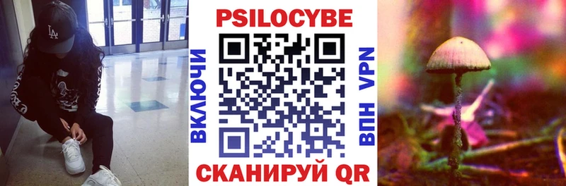 Псилоцибиновые грибы Psilocybine cubensis  Кировск 